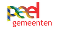 algemeen directeur